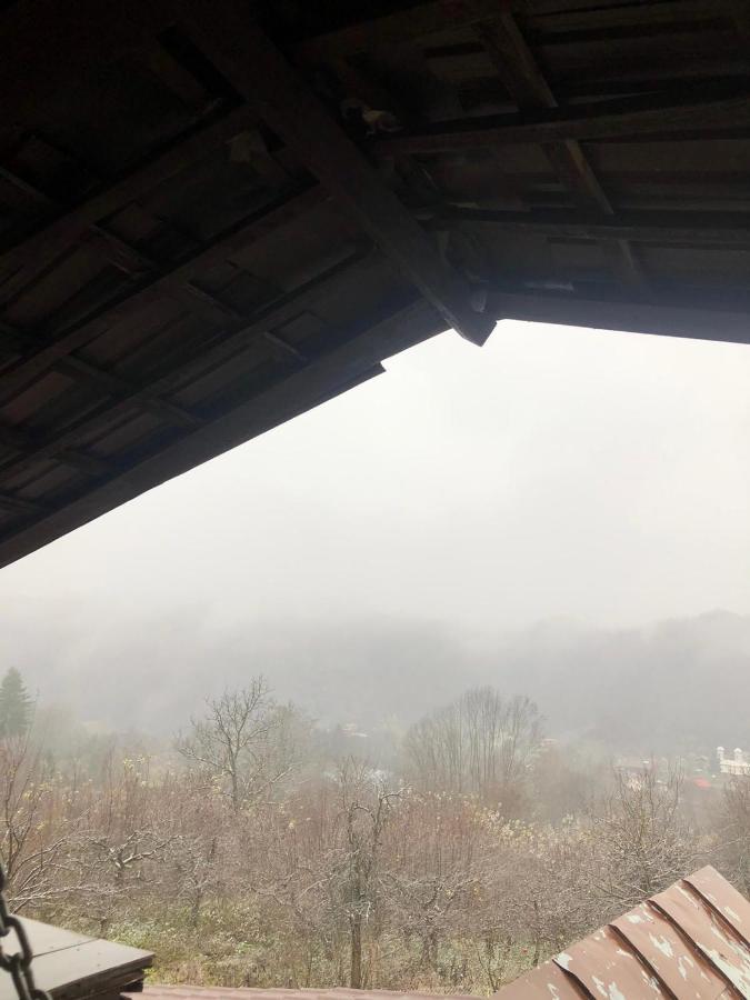 Casa Radu Lui Anghel Villa Barbuletu Dış mekan fotoğraf