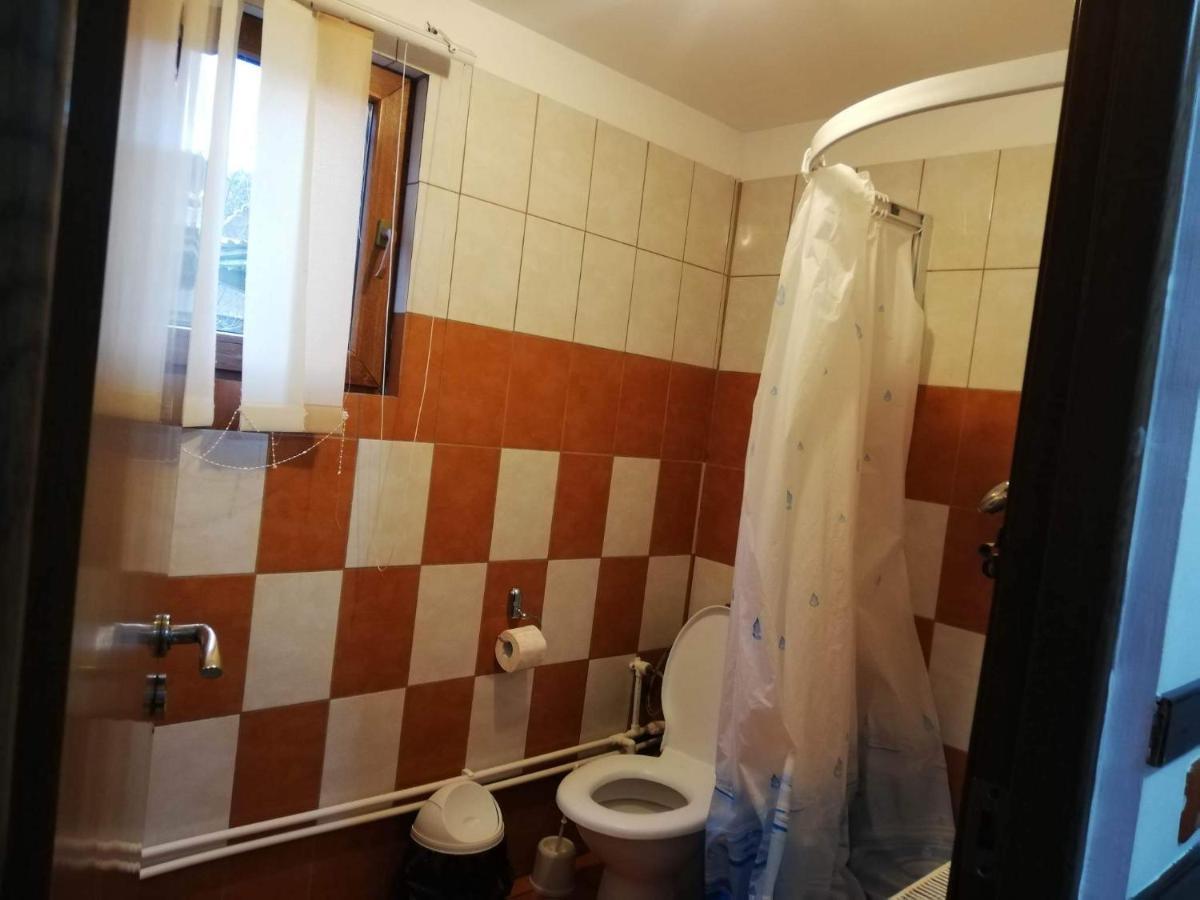 Casa Radu Lui Anghel Villa Barbuletu Dış mekan fotoğraf