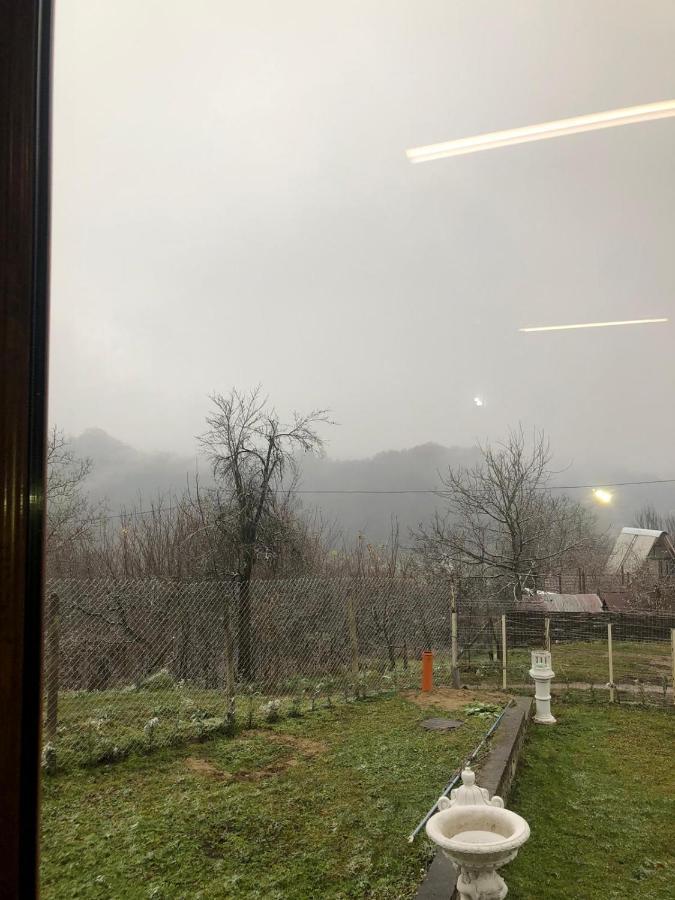 Casa Radu Lui Anghel Villa Barbuletu Dış mekan fotoğraf