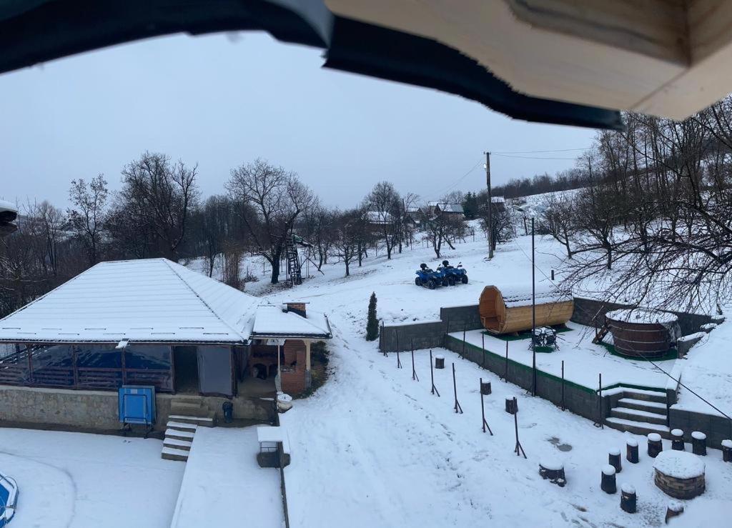 Casa Radu Lui Anghel Villa Barbuletu Dış mekan fotoğraf